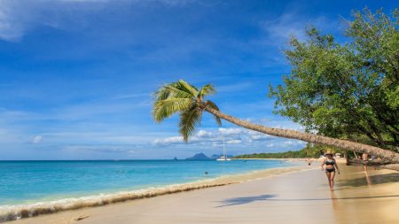 La Martinique : de nombreux endroits à découvrir en voiture